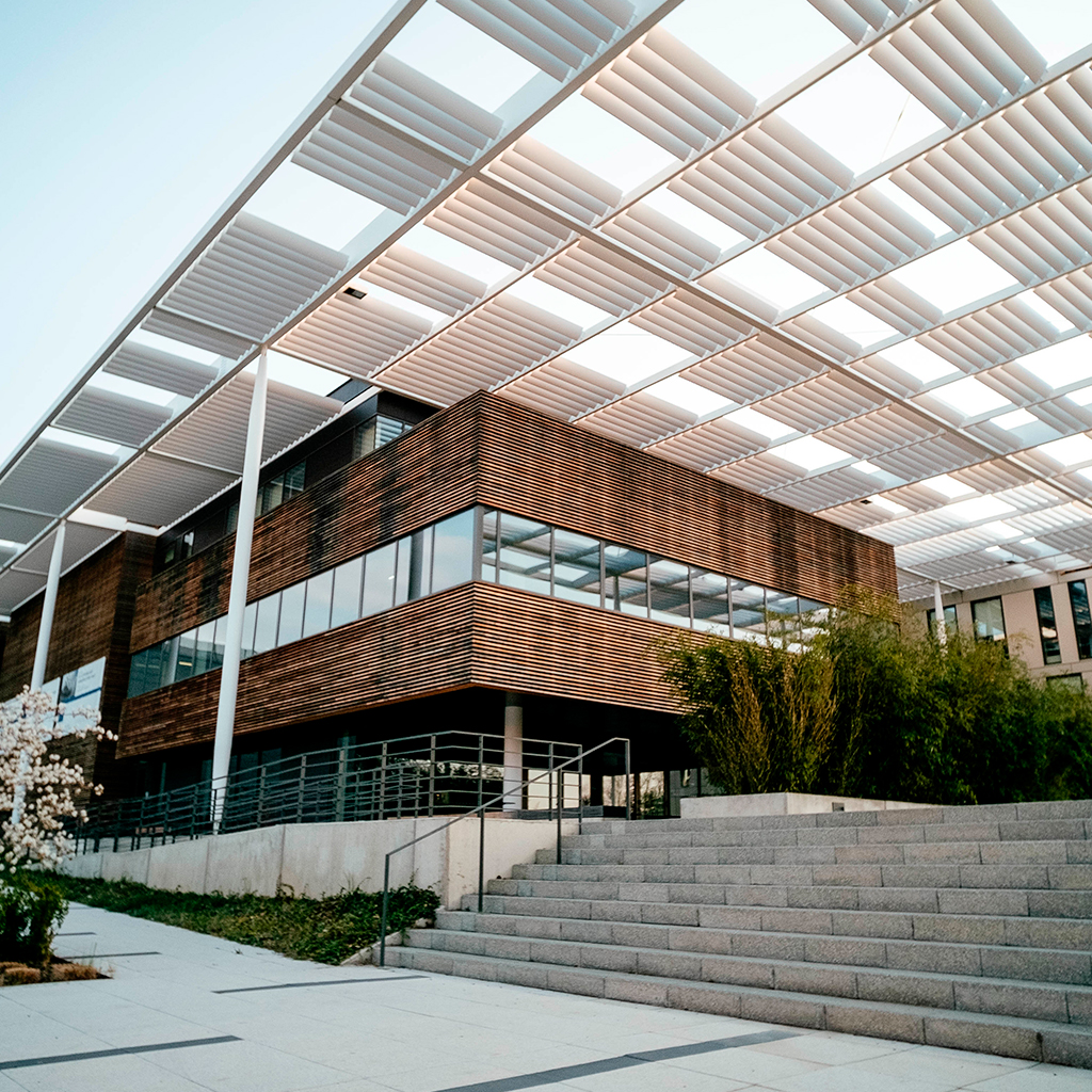 Professional accounting team providing tax and accounting services in Puerto Rico and USA