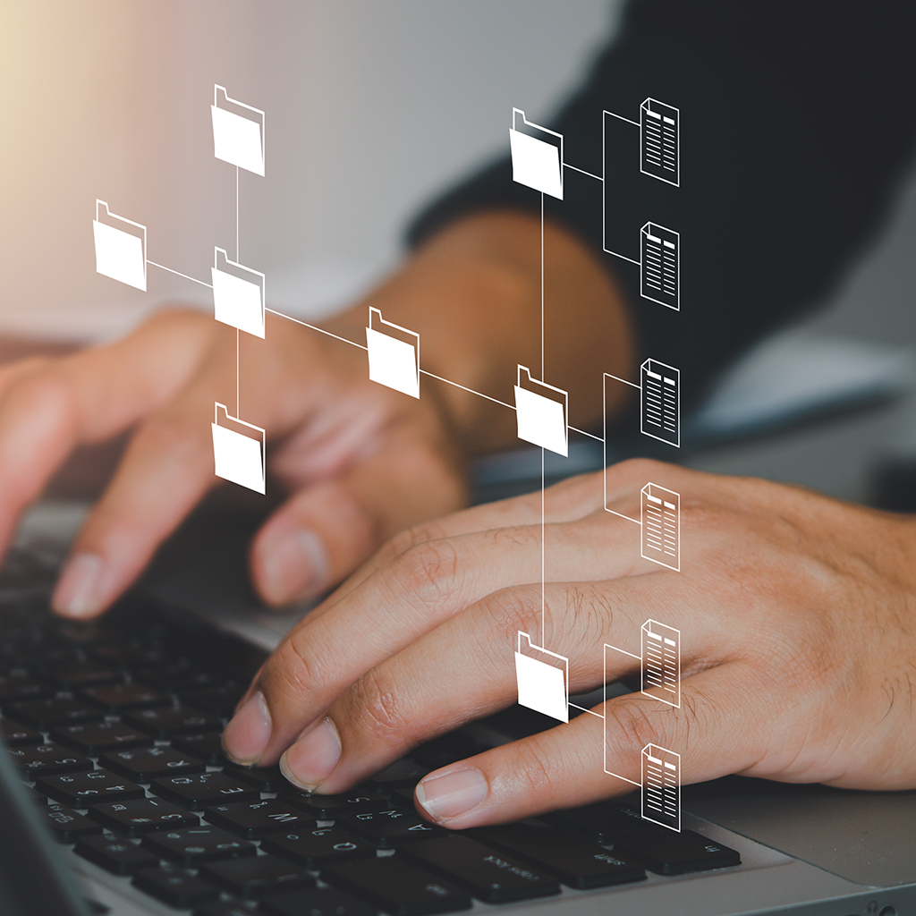 Tax Notices & Compliance Representation